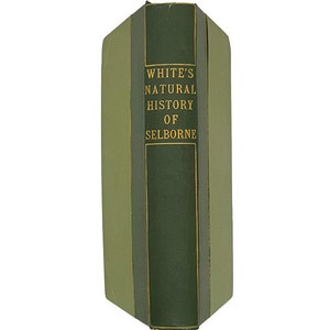 White's Histoire naturelle de Selborne - Walter Scott 1913