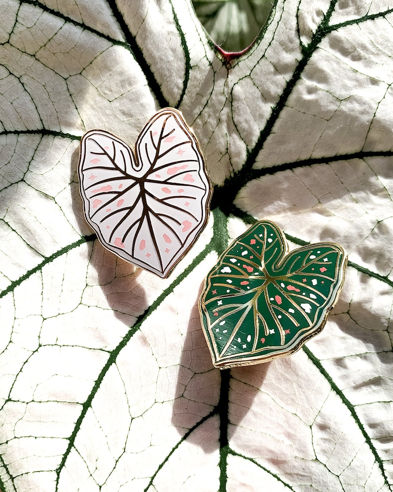 May include: Two enamel pins in the shape of Caladium leaves. One pin is white with pink accents and the other is green with pink and white accents. Both pins have gold-colored borders and are set on a large white leaf.