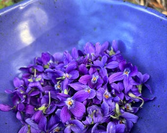 Néctar de flor de violeta dulce