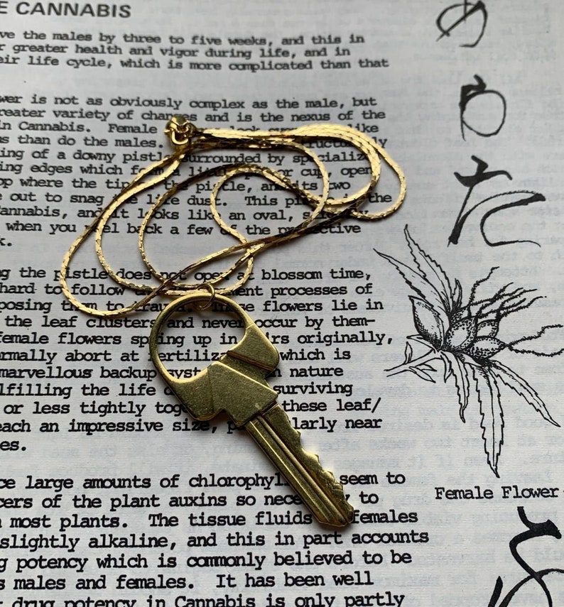 Brass Key Roach Clip necklace Etsy