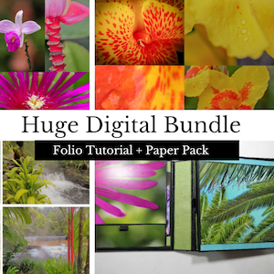 Paradise Digital Bundle - Folio Tutorial + Paper Pack