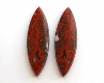 May include: Two elongated, polished gemstones with a leaf-like shape. The stones display a rich red-brown color with intricate patterns of darker brown, gold, and white. The gemstones are set against a plain white background.