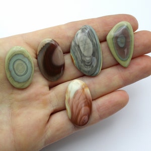 May include: Five polished oval-shaped stones with different patterns and colors, including green, brown, and white. The stones are arranged in a row on a hand.
