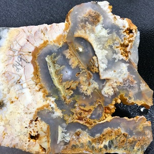 Oregon's North Ridge Plume Agate Slab