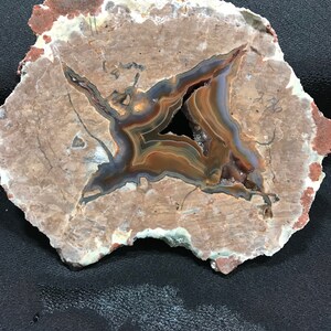New Mexico MineShaft Thunderegg Slab