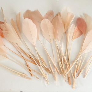 Craftuneed Bundle 34pcs Peach Pink Goose Feathers Soft Craft Feathers for DIY Hat Millinery Supplies