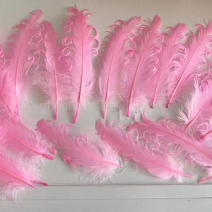 Craftuneed Bundle 19pcs Pink Curly Goose Feathers Ideal for Crafts, Costumes, Millinery