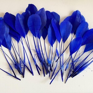 May include: A collection of vibrant blue feathers, each with a slender stem and a full, rounded tip. The feathers are arranged on a white surface, creating a visually striking display. These feathers are ideal for crafting and decorative purposes.