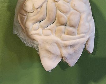 Peut inclure: Un masque sculpté beige clair avec une surface texturée. Le masque présente un design organique détaillé avec des sections en relief et un bord rugueux et inachevé. Le masque est tenu sur un fond vert.