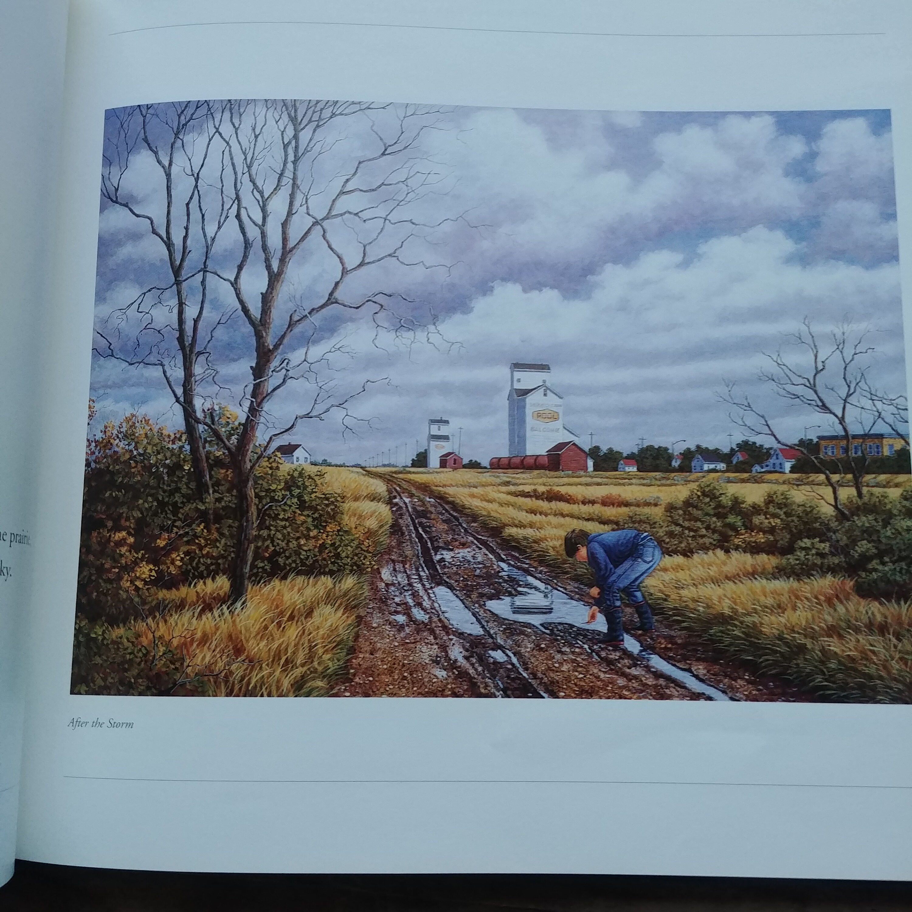 Henry Ripplinger If You're Not From the Prairie, Children's Book, by Davis Bouchard and ...
