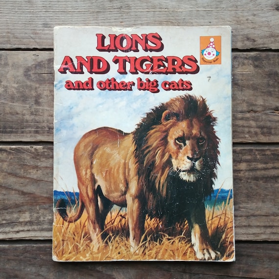 Children's Detroit Tigers ABC Book