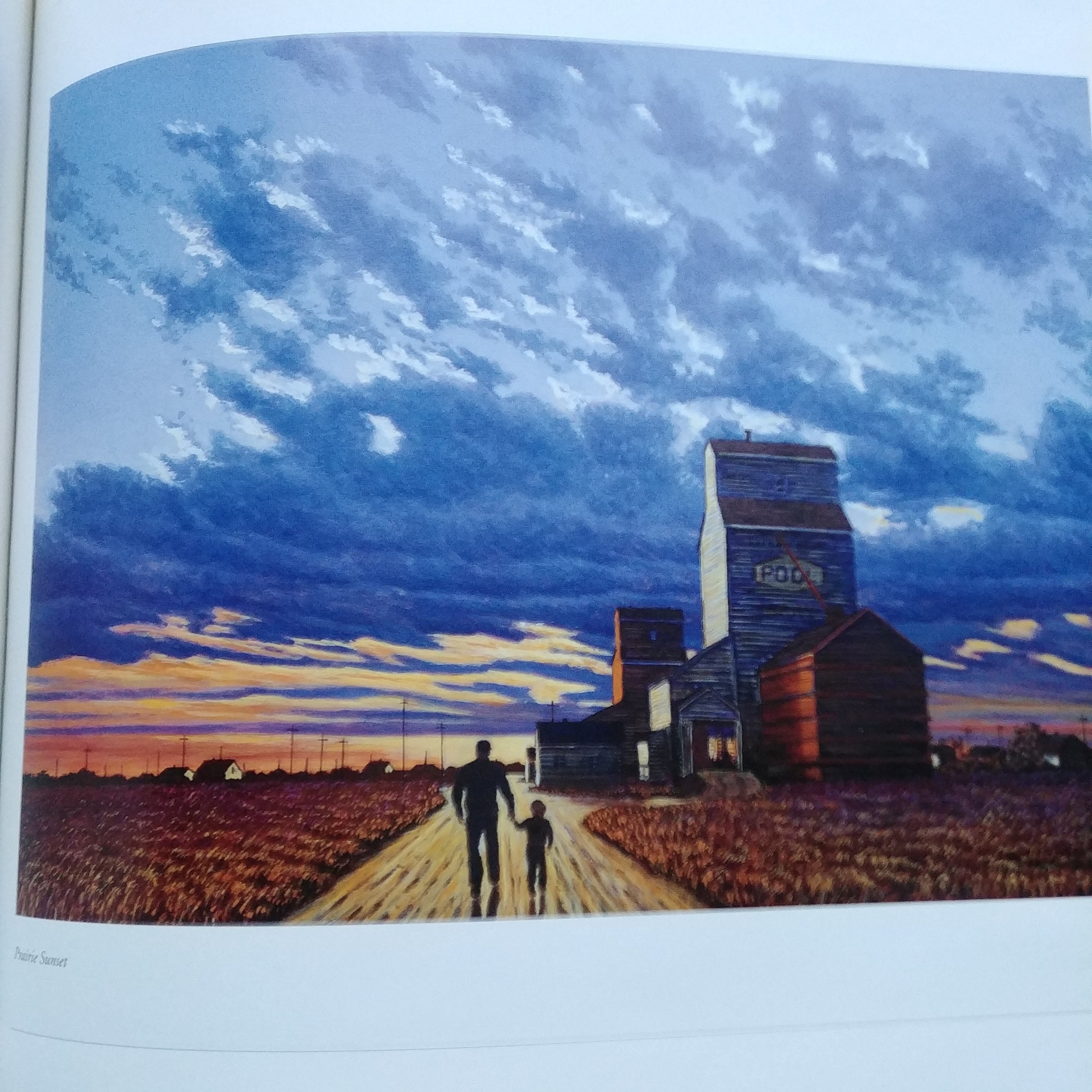 Henry Ripplinger If You're Not From the Prairie, Children's Book, by Davis Bouchard and ...