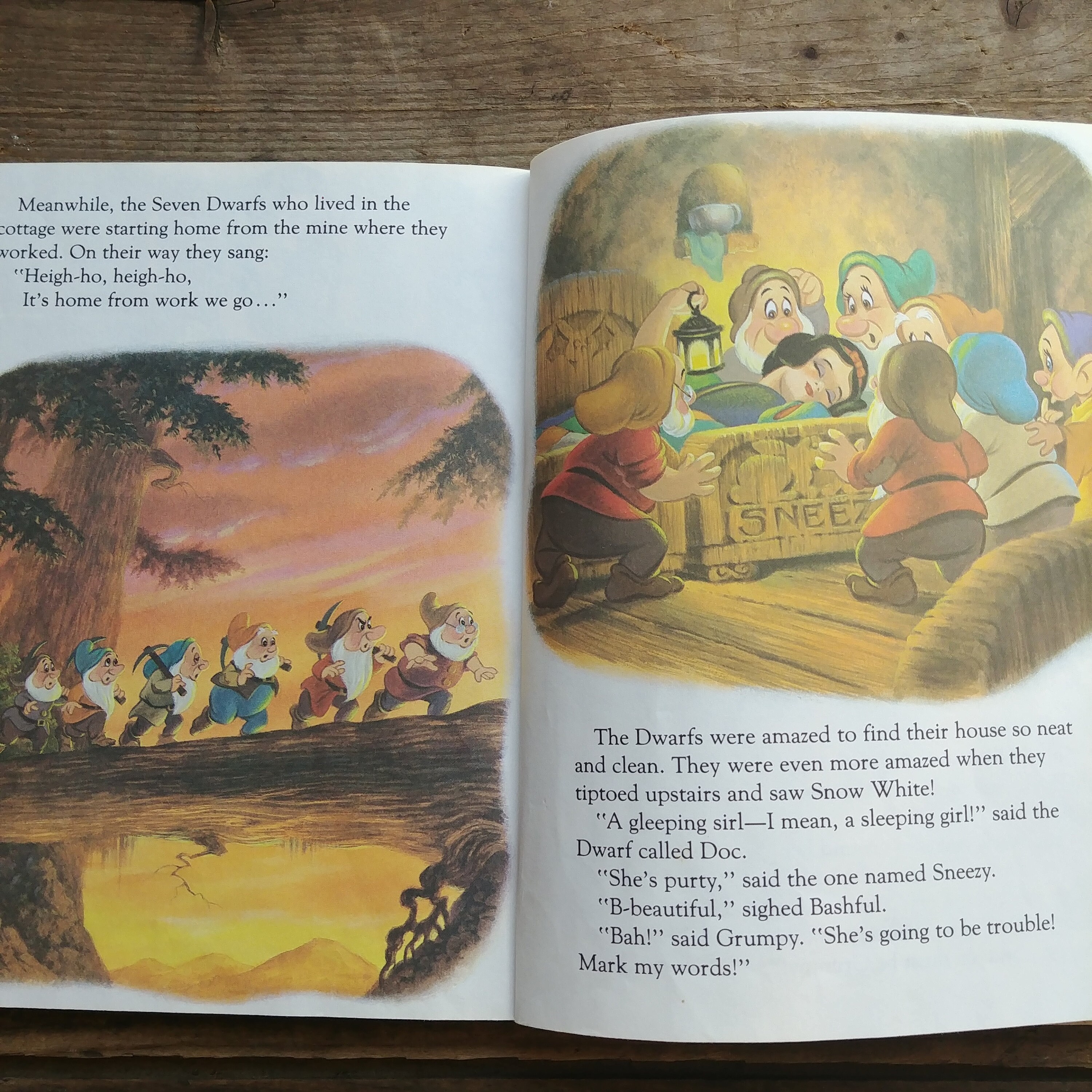 snow-white-and-the-seven-dwarfs-story-book
