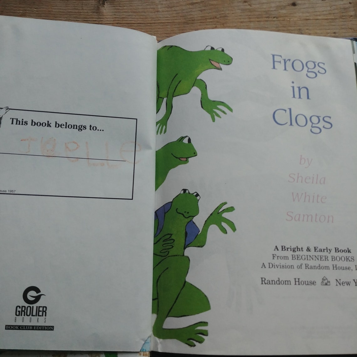 Frogs in Clogs, a Children's Book by Sheila White Samton, Bright and ...