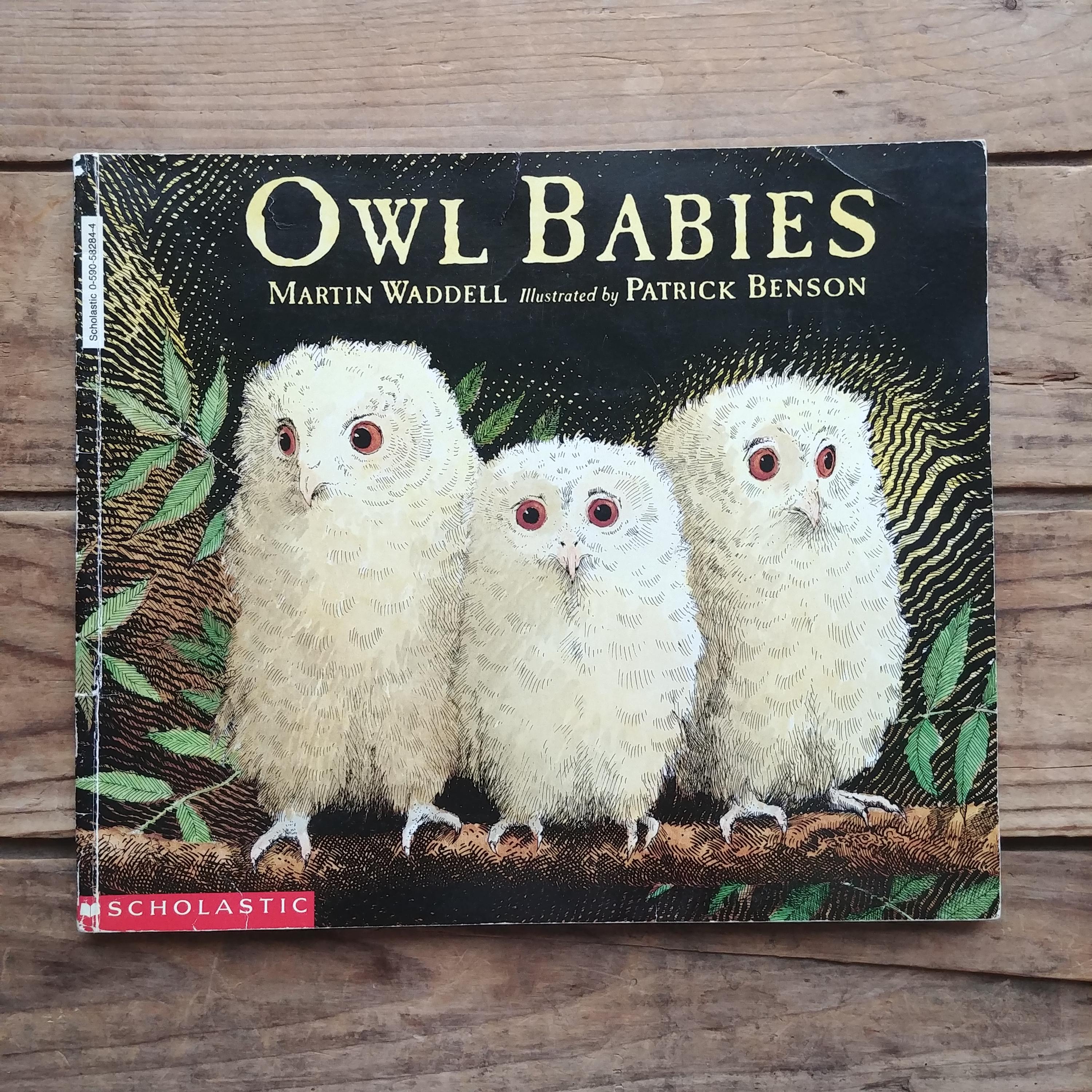 Owl Babies, Children's Paperback Book by Martin Waddell and Patrick Benson