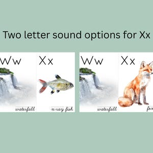 May include: Educational print featuring two cards with the letters Ww and Xx. The Ww card shows a waterfall, and the Xx card shows an x-ray fish. The second set of cards shows a waterfall and a fox. The text reads "Two letter sound options for Xx."
