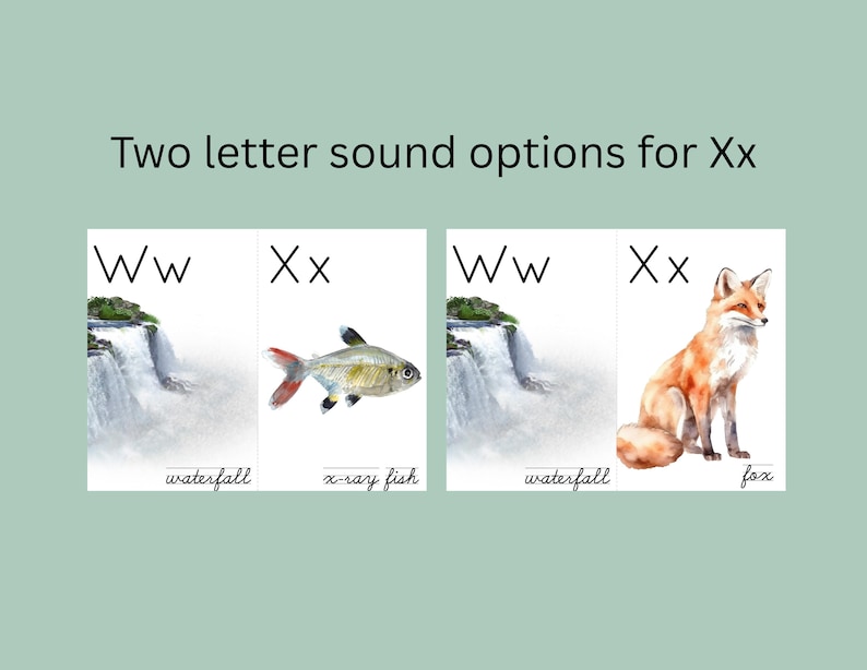 May include: Educational print featuring two cards with the letters Ww and Xx. The Ww card shows a waterfall, and the Xx card shows an x-ray fish. The second set of cards shows a waterfall and a fox. The text reads "Two letter sound options for Xx."