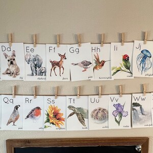 Words in SCRIPT | Early Learning Nature themed Printable Alphabet Flashcards Watercolor Art Orton-Gillingham image 4
