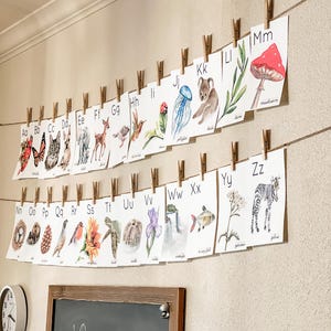 May include: A watercolor alphabet set, each letter displayed on a card with a corresponding illustration. The cards are suspended by clothespins on twine against a neutral wall. The images include a butterfly, cat, deer, and zebra.
