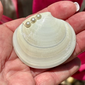 Beach proposal ring holder, seashell ring holder, proposal ring holder, proposal ring box, will you marry me ring holder