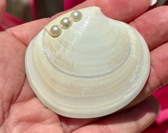 Beach proposal ring holder, seashell ring holder, proposal ring holder, proposal ring box, will you marry me ring holder