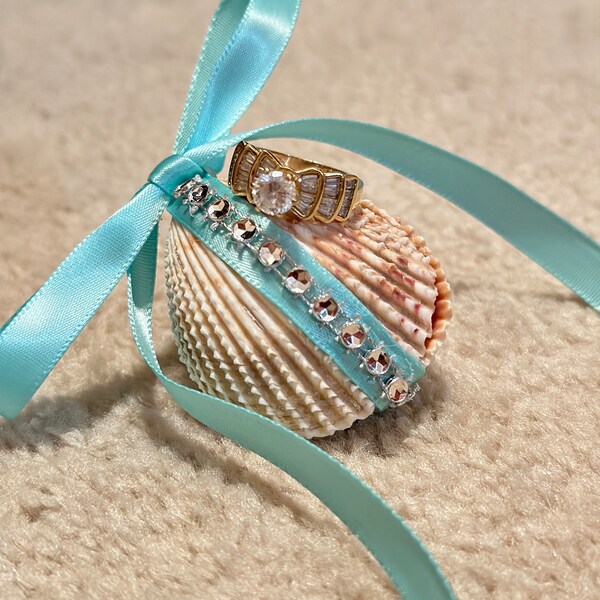Seashell Jewelry Box Etsy