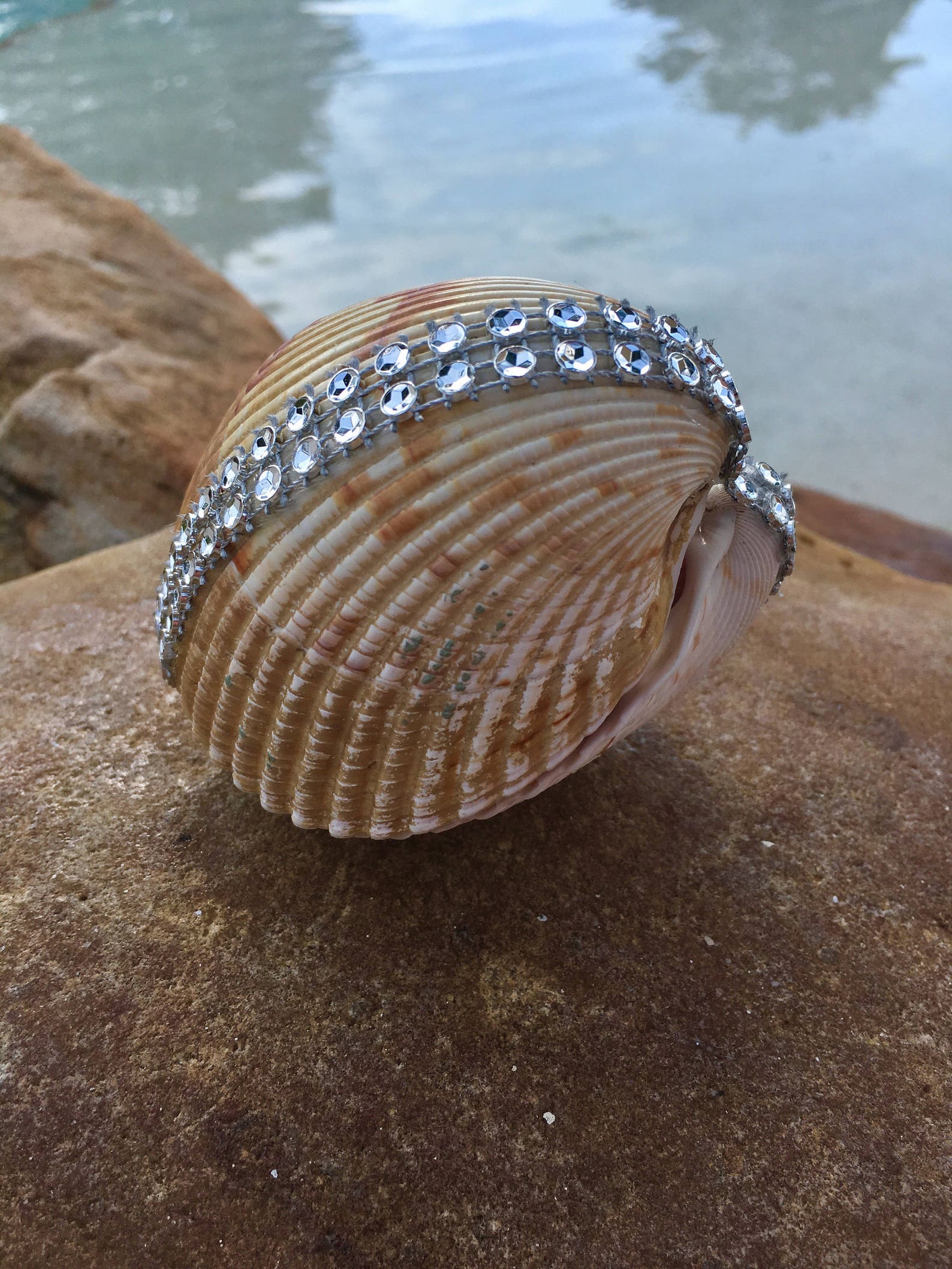 Proposal Seashell Ring Box Seashell Engagement Ring Box Etsy