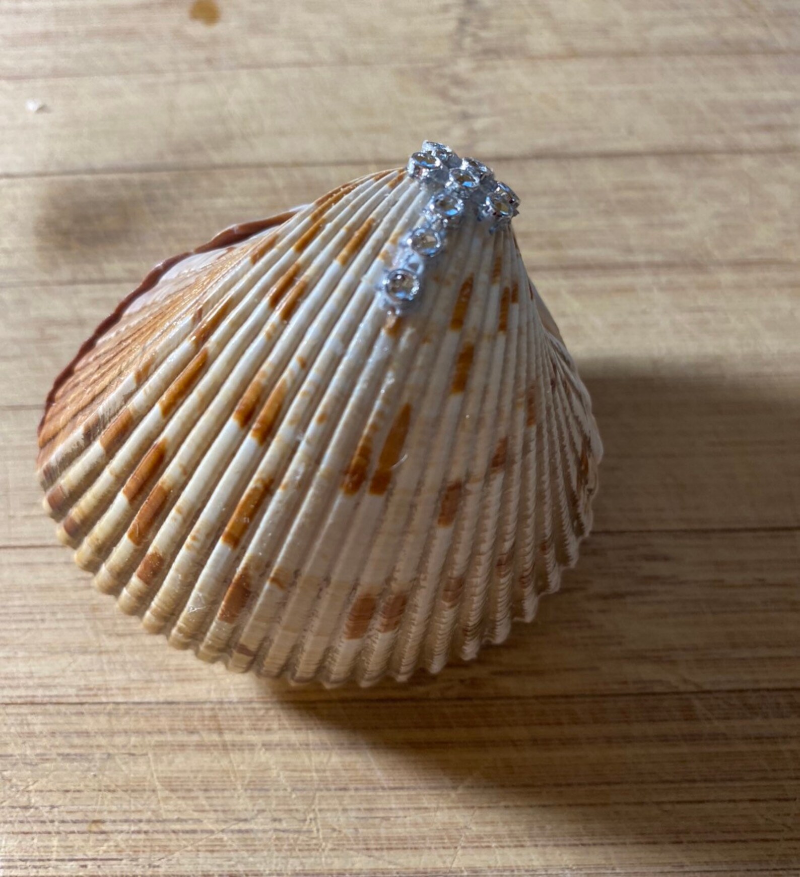 Proposal Seashell Ring Box Seashell Engagement Ring Box Etsy