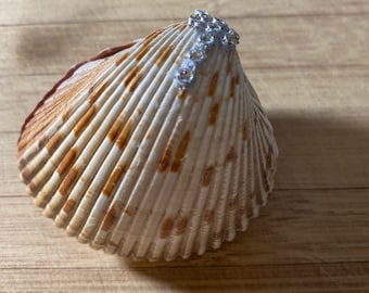 Caja de anillo de concha colosal, caja de anillo de compromiso de concha marina, caja de anillo de boda en la playa, caja de anillo de concha personalizada, ¿Quieres casarte conmigo? Concha marina
