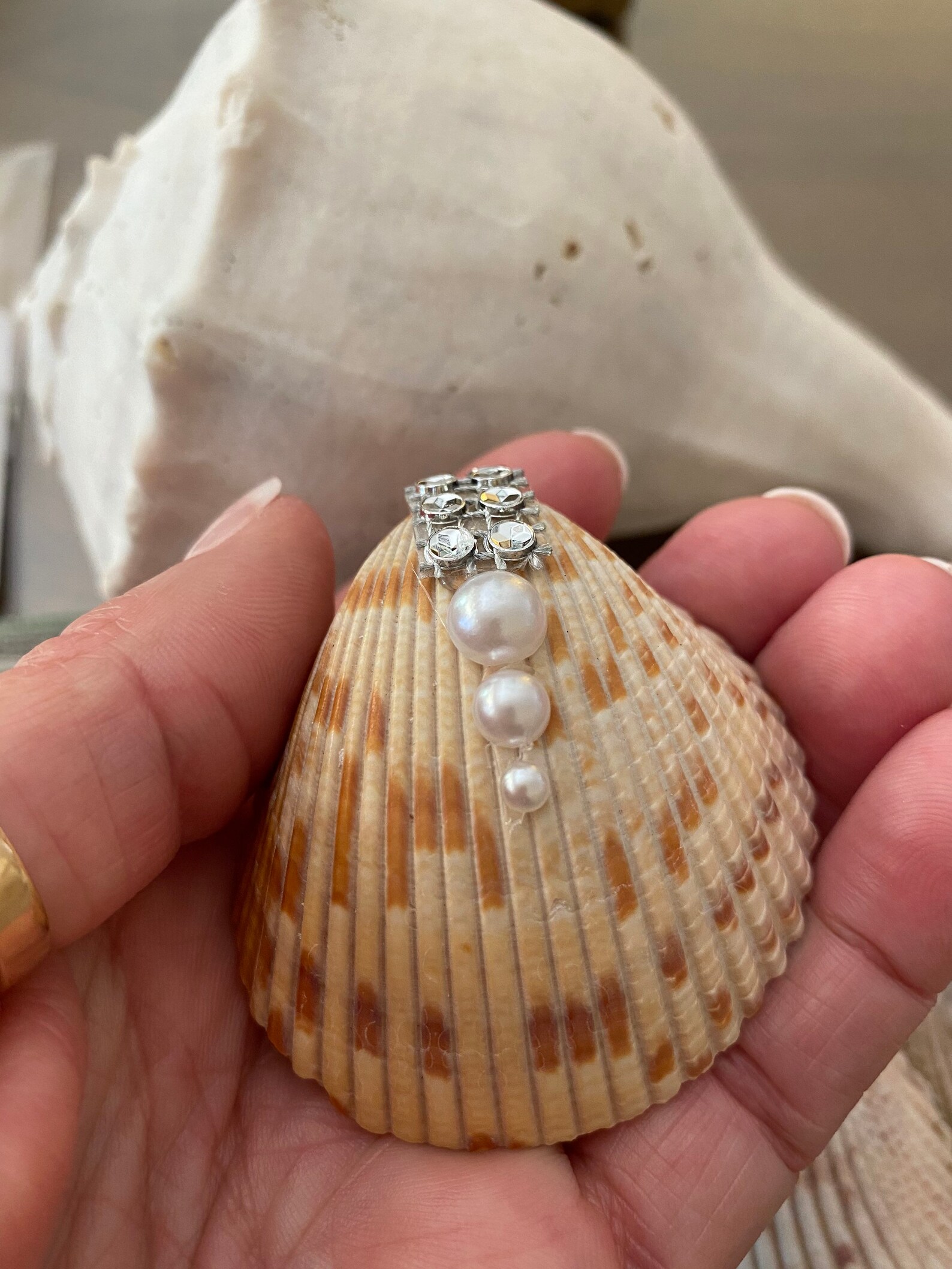 Proposal Seashell Ring Box Seashell Jewelry Box Engagement - Etsy