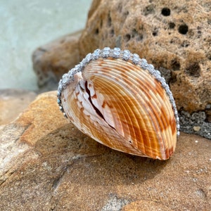 Colossal Seashell Ring Box, SeaShell Engagement ring box, Beach wedding ring box, Custom shell Ring box,Will you marry me Seashell