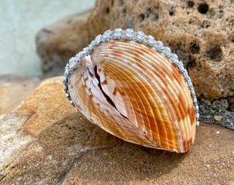 Caja de anillo de concha marina colosal, caja de anillo de compromiso de concha marina, caja de anillo de boda en la playa, caja de anillo de concha personalizada, ¿Quieres casarte conmigo?