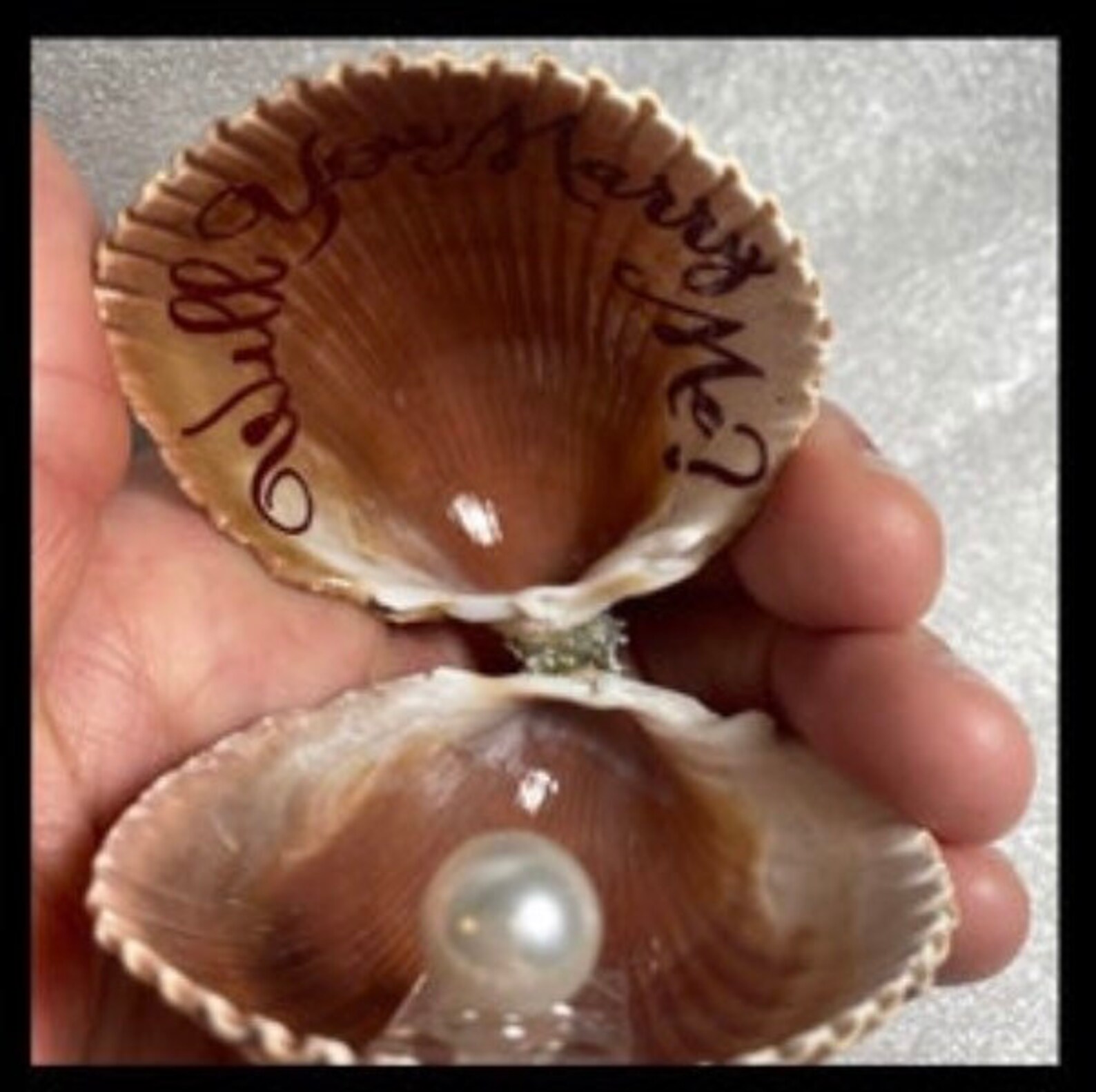 Proposal Seashell Ring Box Seashell Engagement Ring Box Etsy