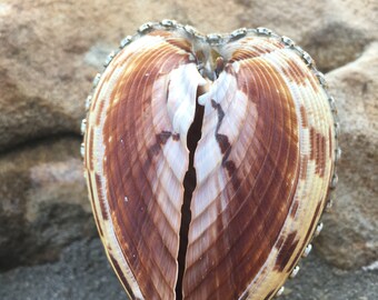 Caja para anillo de concha marina, caja para anillo de compromiso de concha marina, caja para anillo de boda en la playa, caja para anillo de concha marina personalizada, ¿Te casarías conmigo?