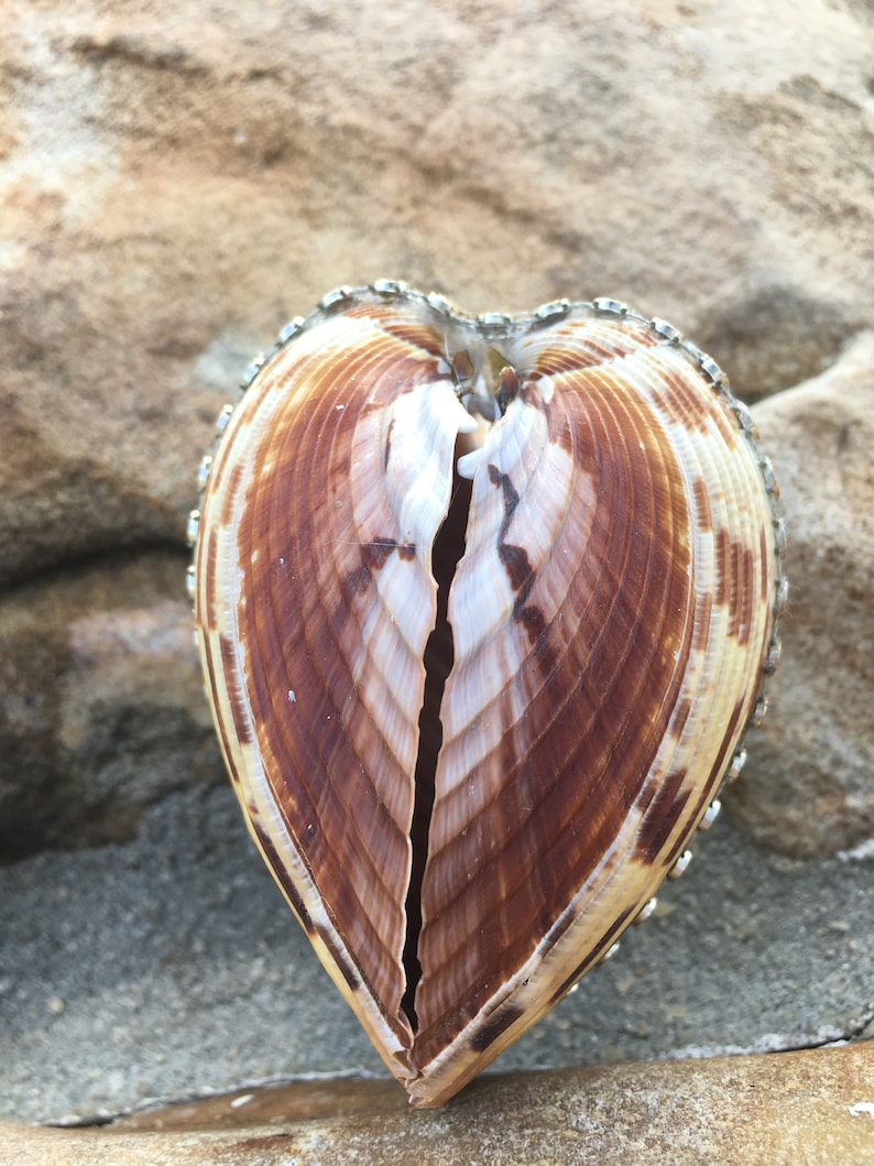 seashell engagement ring box
