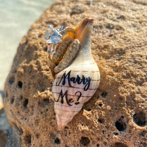 May include: A seashell with the words "Marry Me?" engraved on it. A diamond engagement ring is inside the shell.
