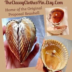 Personalized Colossal Seashell RingBox,SeaShell Engagement ring box,Beach wedding ringbox,Custom seashell Ringbox,Will you marry me Seashell