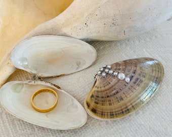 Caja de anillo de concha marina para propuesta, caja de joyería de concha marina, soporte para anillo de compromiso, propuesta de playa, caja de regalo de concha marina, ¿Quieres casarte conmigo?, aniversario