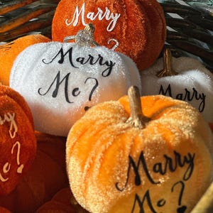 Puede incluir: Una cesta llena de calabazas de terciopelo naranja y blanco, cada una con las palabras "Marry Me?" escritas en ellas. Una calabaza tiene un anillo de diamantes en la parte superior.
