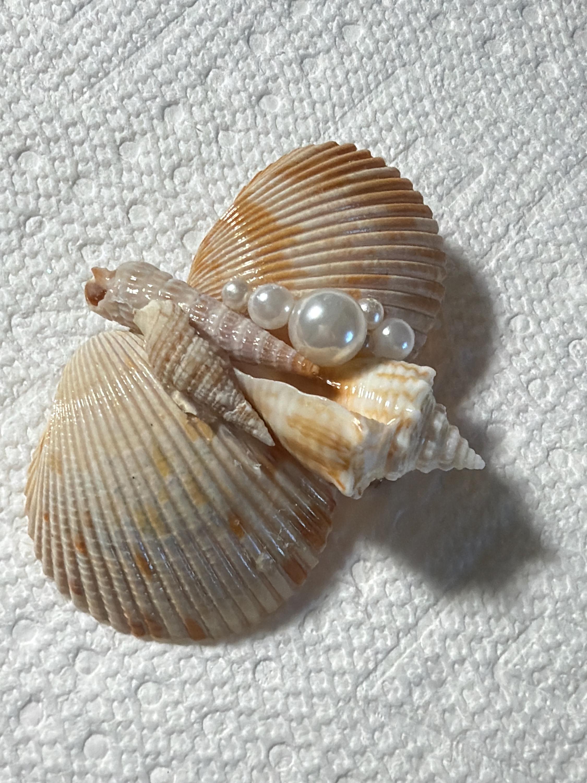 Seashell Boutonniere Brooch