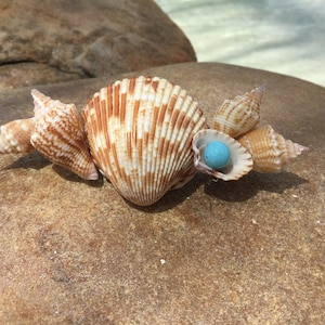Beach Hair Barrette, Beach Hair Accessory, Beach Wedding Hair Accessory, Sea Shell Hair Barrette, SeaShell Hair Clip, Hair Accessory