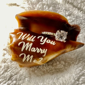May include: A seashell with the words "Will You Marry Me?" engraved on it. A diamond engagement ring is sitting inside the shell.
