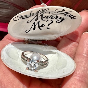 Beach proposal ring holder, seashell ring holder, proposal ring holder, proposal ring box, will you marry me ring holder