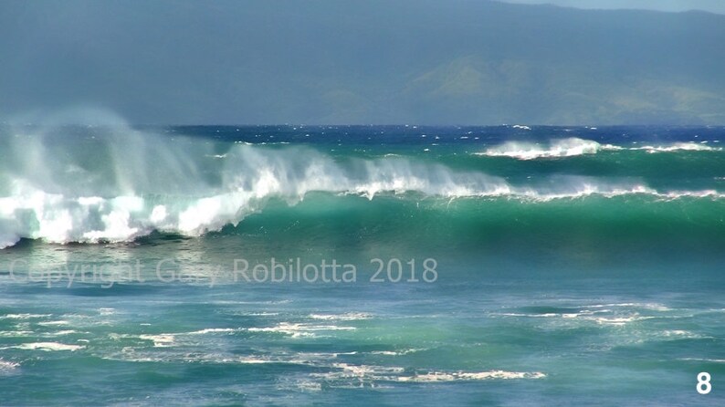 Nature Photo-Art Canvas Prints. Maui, Montserrat, Tropical, Islands, Beaches, Horse, Waves, Flowers, Sunsets, Cats 8