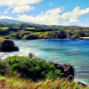 Nature Photo-Art Canvas Prints. Maui, Montserrat, Tropical, Islands, Beaches, Horse, Waves, Flowers, Sunsets, Cats 10