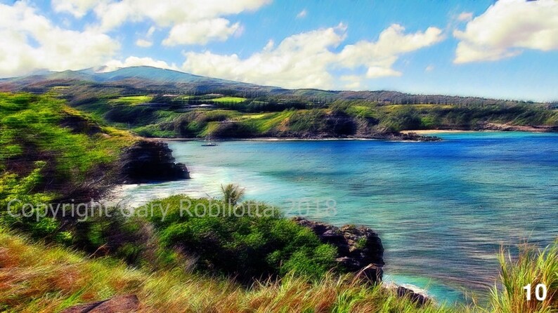 Nature Photo-Art Canvas Prints. Maui, Montserrat, Tropical, Islands, Beaches, Horse, Waves, Flowers, Sunsets, Cats 10