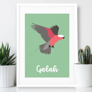 Galah Poster / A3 Print  / Animal Print / Australian Bird