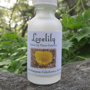 Clubhair Mariposa Native Lily Flower Essence