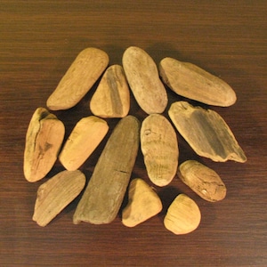 Baltic Sea DRIFTWOODS set medium sizes driftwood made by nature craft supplies natural art supplies Planks Wood pieces bulk wall art supply