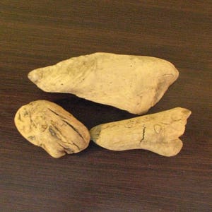 Baltic Sea Driftwood Set: Natural Craft & Art Supplies